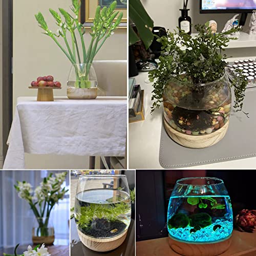 Glass Vase with Wooden Support Base, Clear Glass Bubble Vase, 1pcs (B 23 × 22 × 20 cm) M829