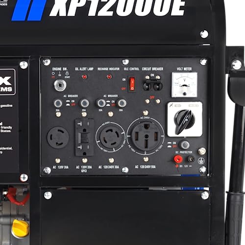 12,000-Watt Dual Fuel Portable Generator R2725