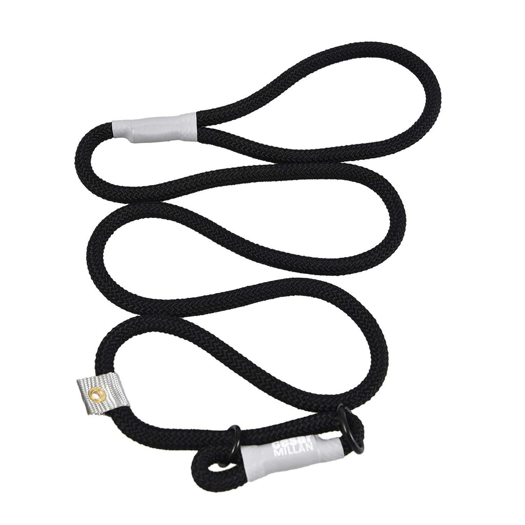 Slip Lead Leash 2-in-1 Dog Training Lead & Collar O63469
