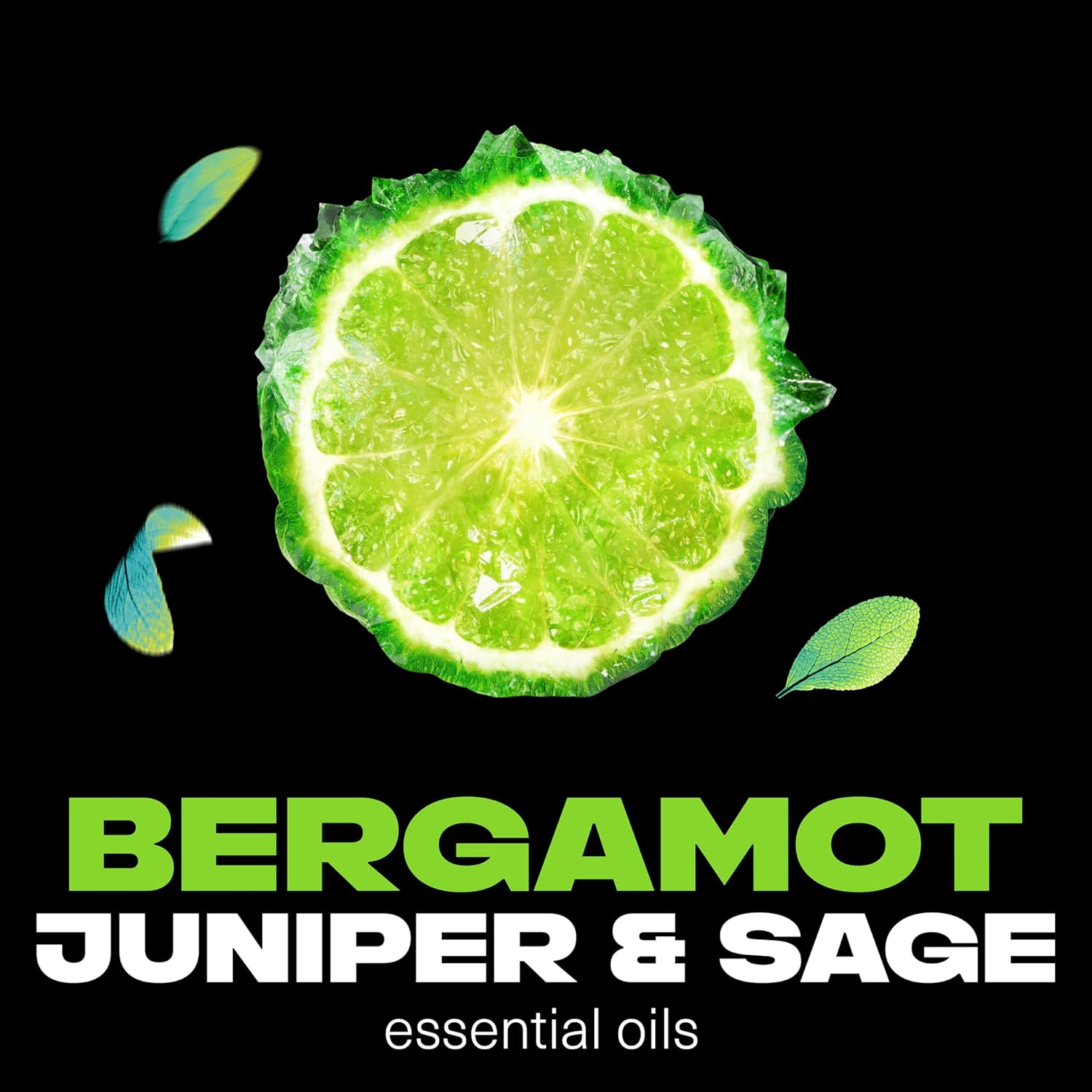 Aqua Bergamot Deodorant Body Spray 4 oz K197492