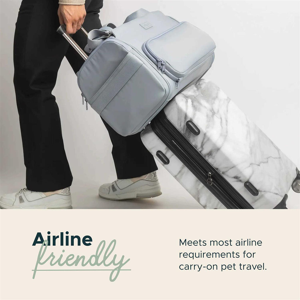 Travel Pet Carrier P4320