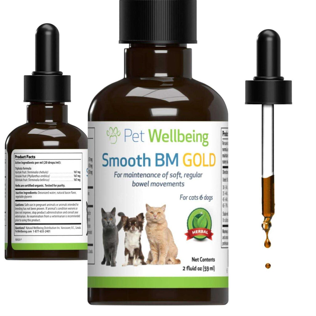 Smooth BM Gold Pet Supplies T665736