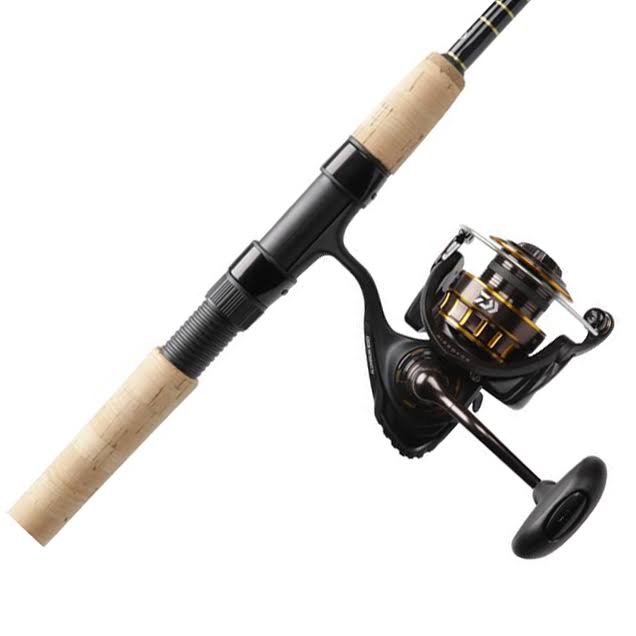 Saltwater Spinning Combo Q5862