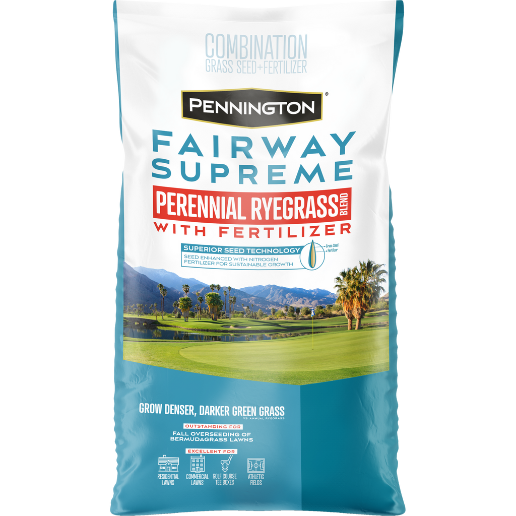 Perennial Ryegrass Grass Seed Blend 50 lb X6513