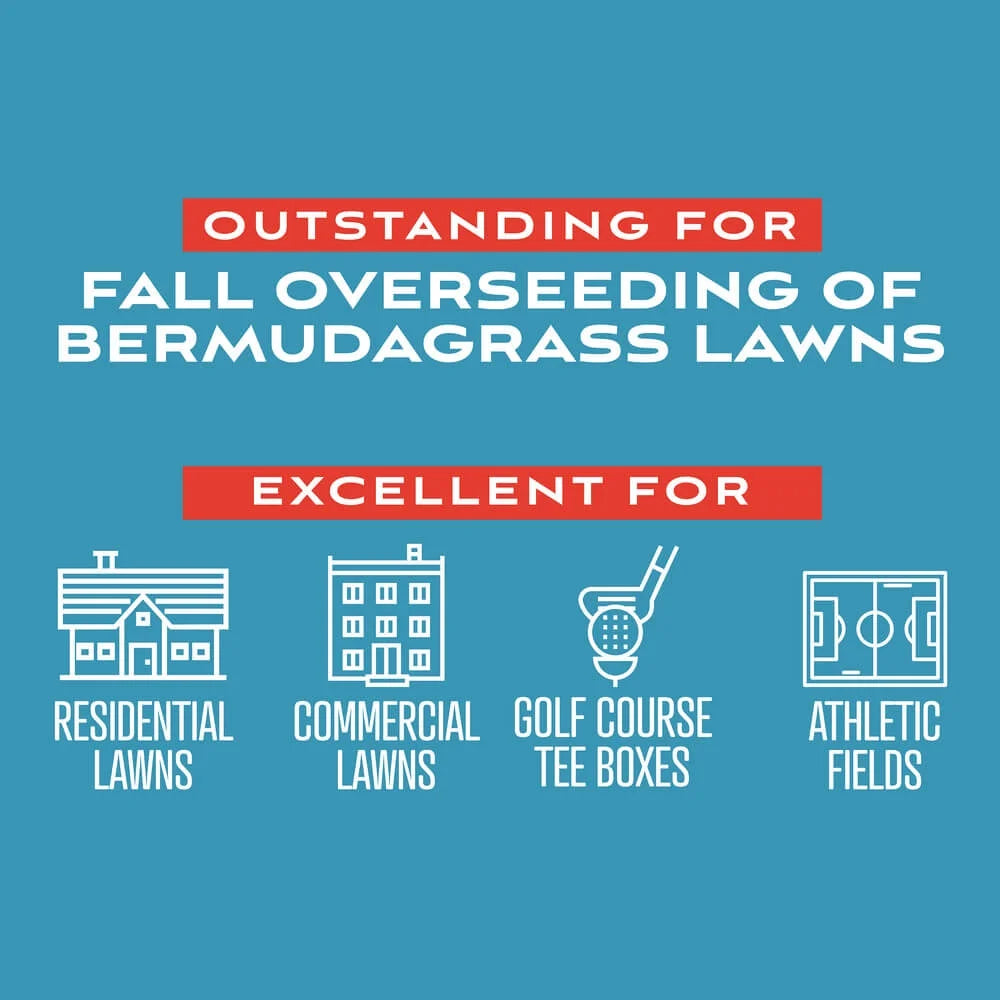 Perennial Ryegrass Grass Seed Blend 50 lb X6513