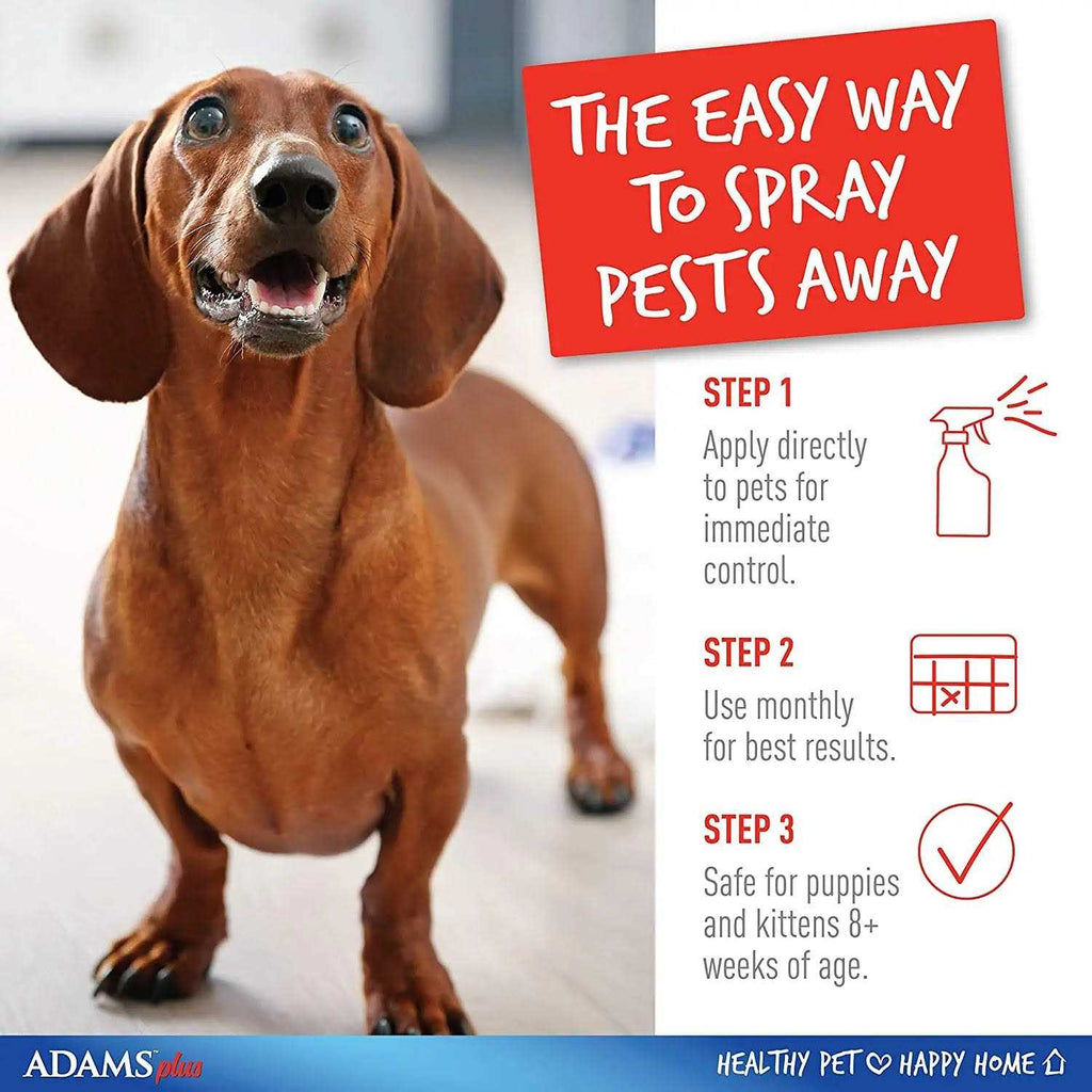 Flea Tick Spray S657948