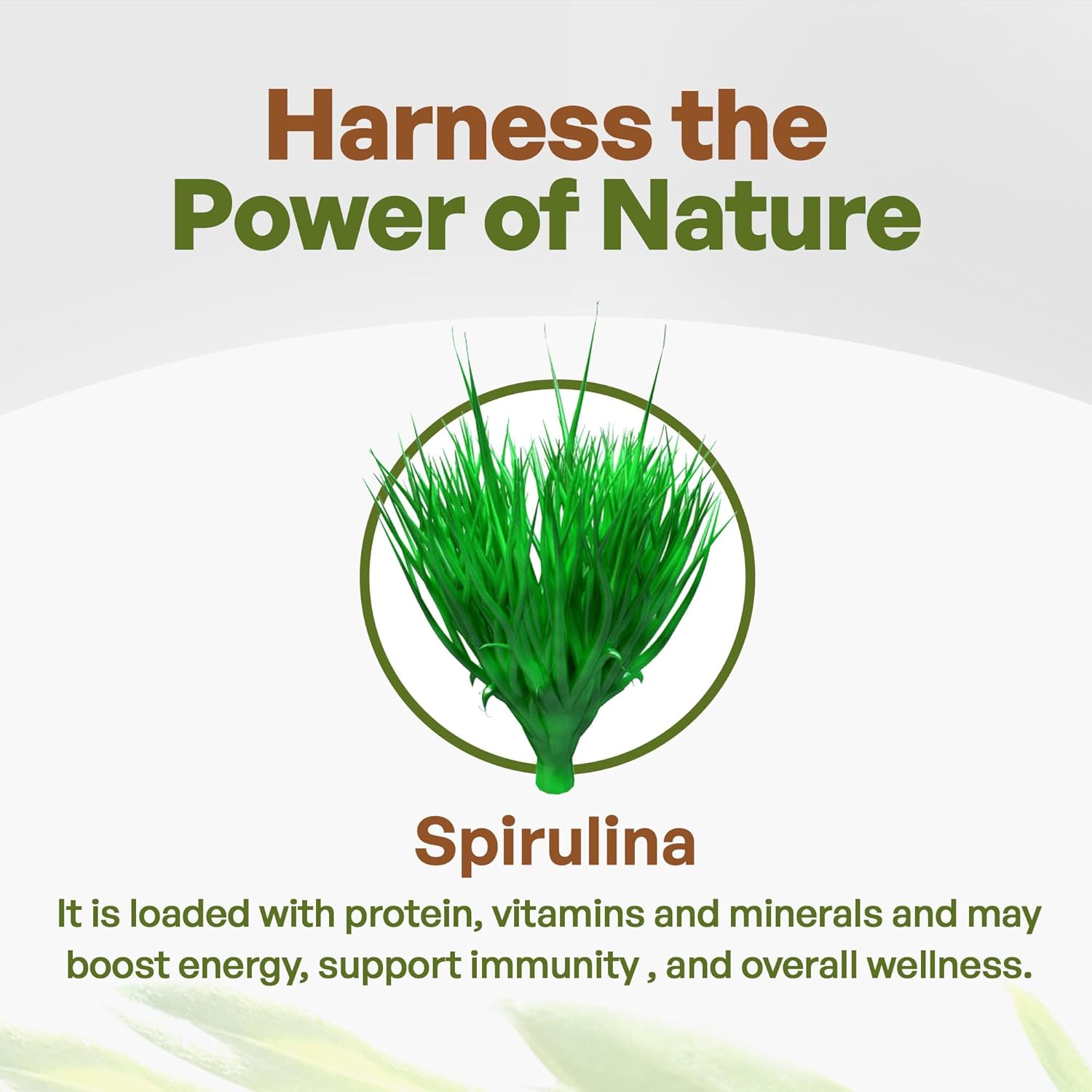500 mg Organic Spirulina Tablets, 720 Tablets I814480