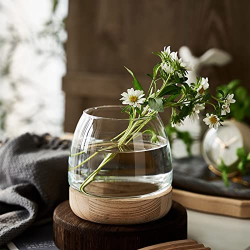 Glass Vase with Wooden Support Base, Clear Glass Bubble Vase, 1pcs (B 23 × 22 × 20 cm) M829