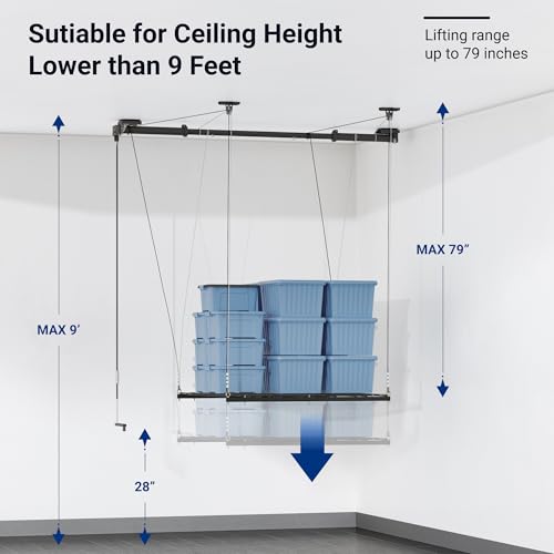 Carbon Black 4x4 Ft Heavy-Duty Overhead Garage Storage Rack D3659