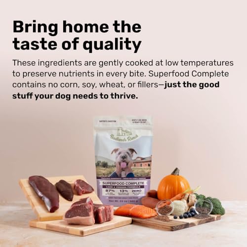 Air-Dried Beef Dog Food 24 oz. V265159