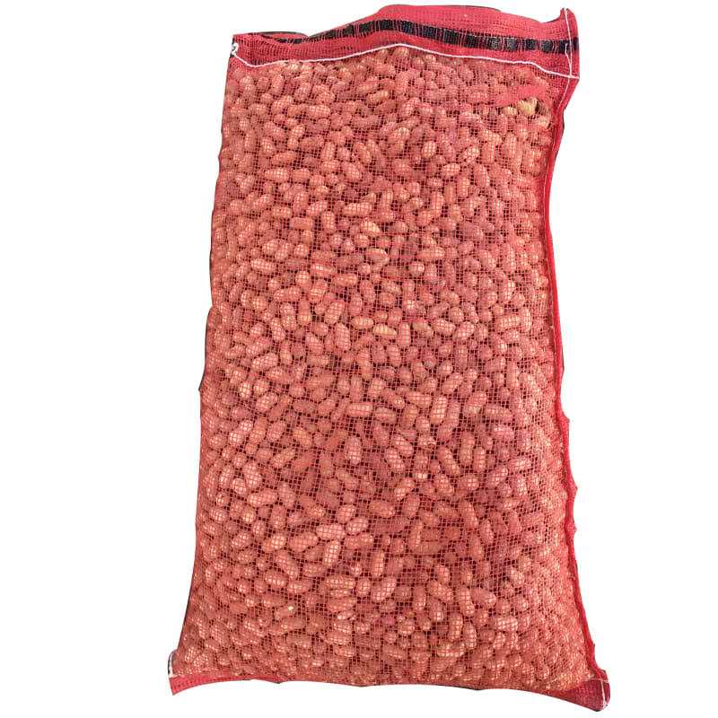 Raw Peanuts in Shell N275547