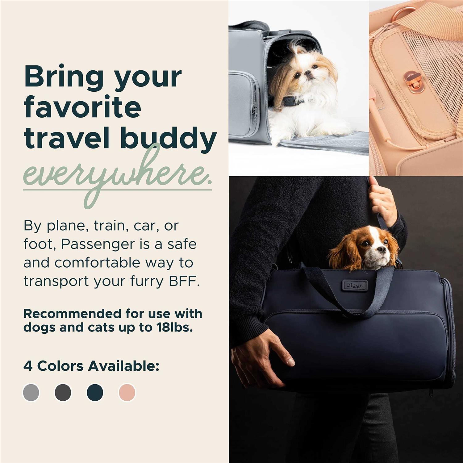 Travel Pet Carrier P4320