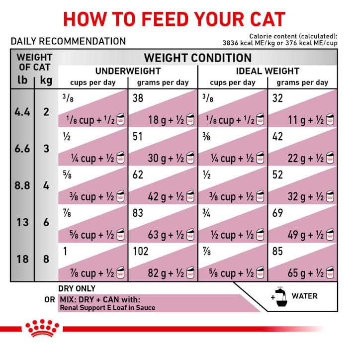 Veterinary Diet Feline Renal Support F Dry Food N20768