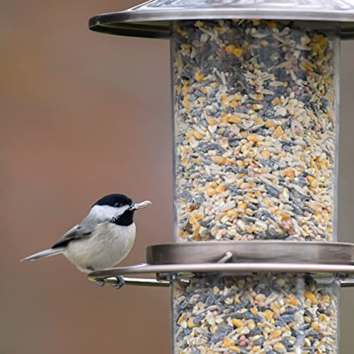 Copper Panorama Bird Feeder, 1 Tier V9794