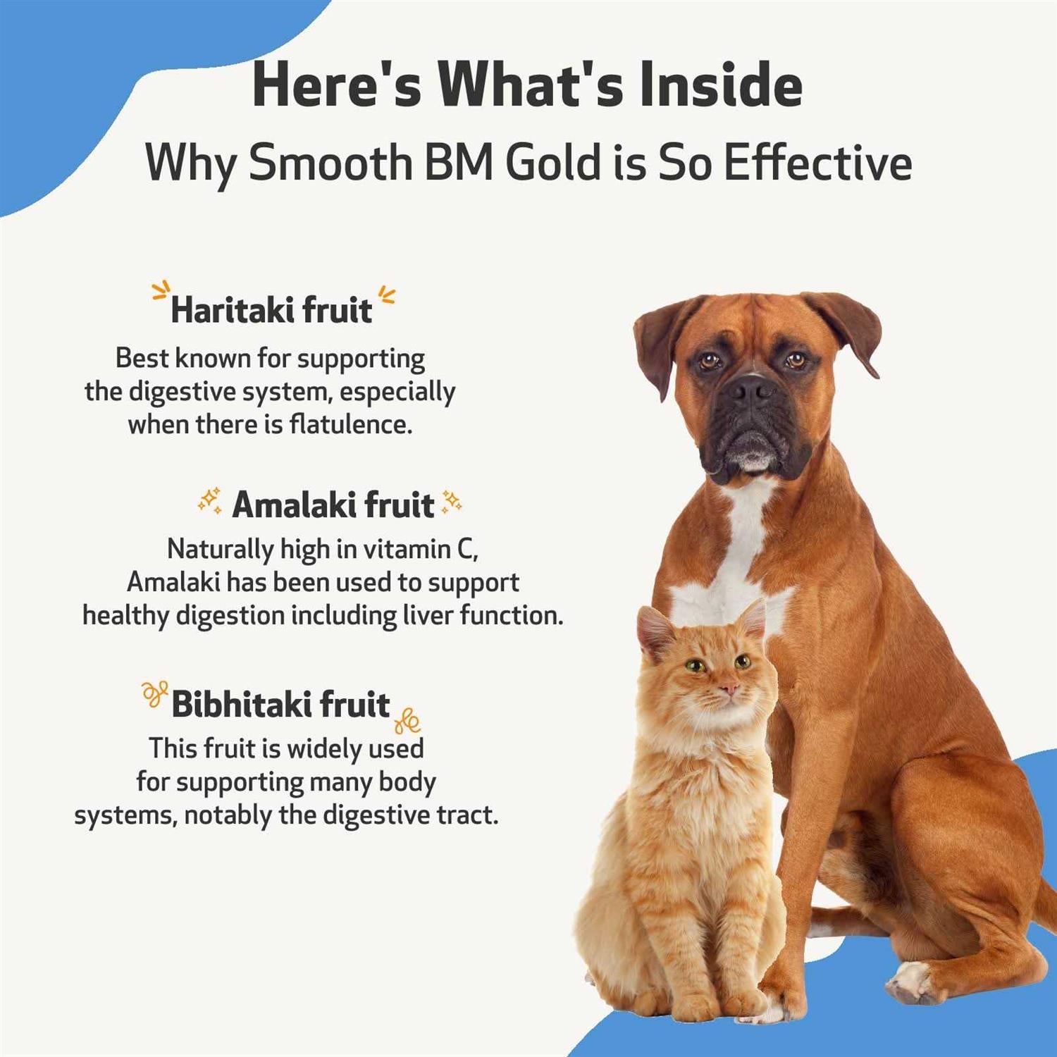 Smooth BM Gold Pet Supplies T665736