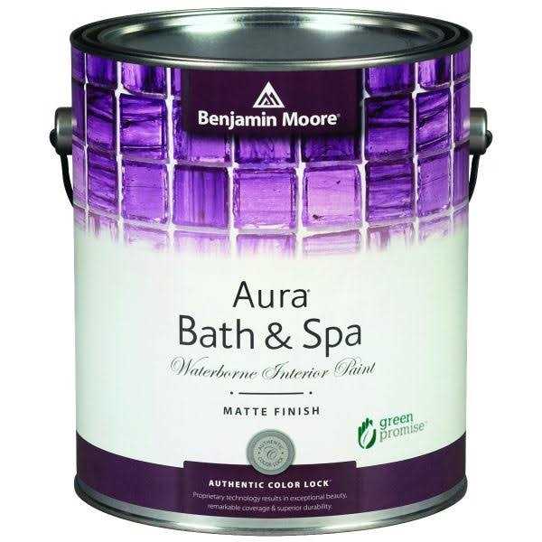 Interior Paint E550