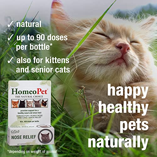 Natural Nasal and Sinus Medicine for Cats, 15 Milliliters F697