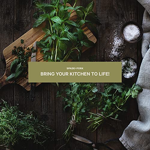 Organic Herb Garden Kit Indoor Starter Kit W85568